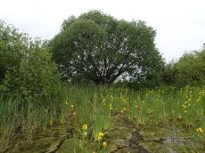 Aktuality